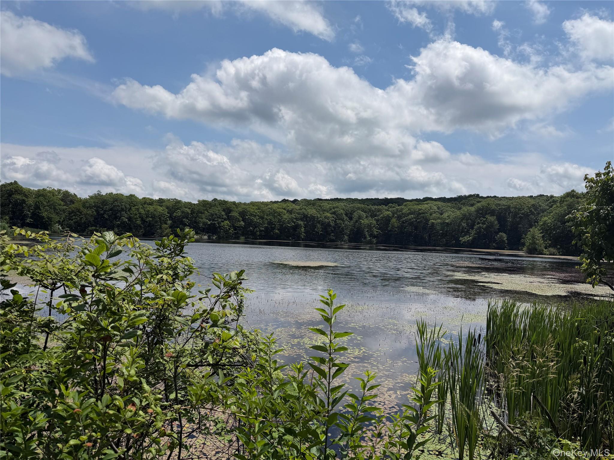 599 East Mountain Road North Cold Spring, NY 10516 - Photo 11 of 11 Nearby pond