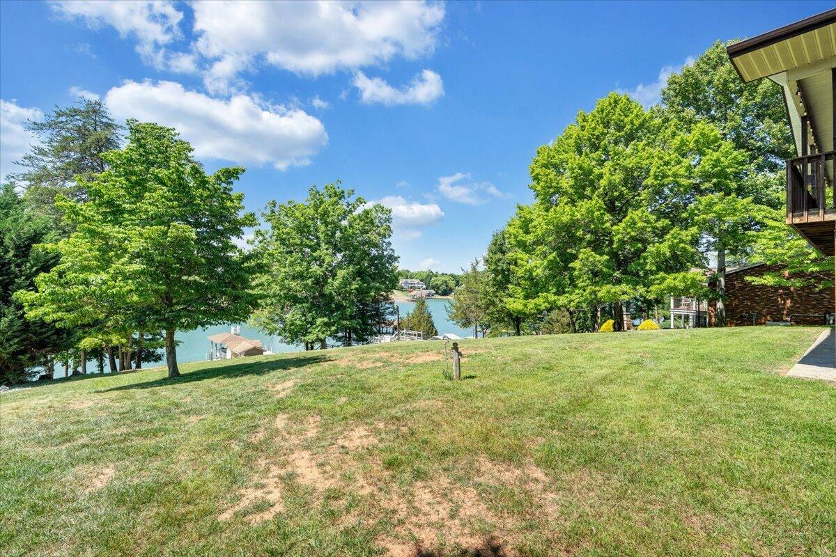 159 Windmere Trail Moneta, VA 24121 - Photo 51 of 88 View