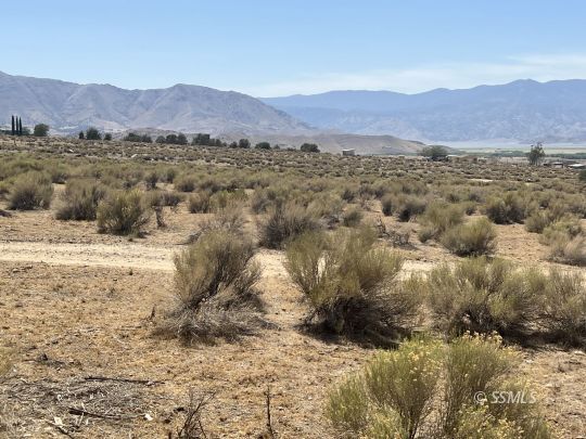 Ray Lane Weldon, CA 93283 - Photo 20 of 26