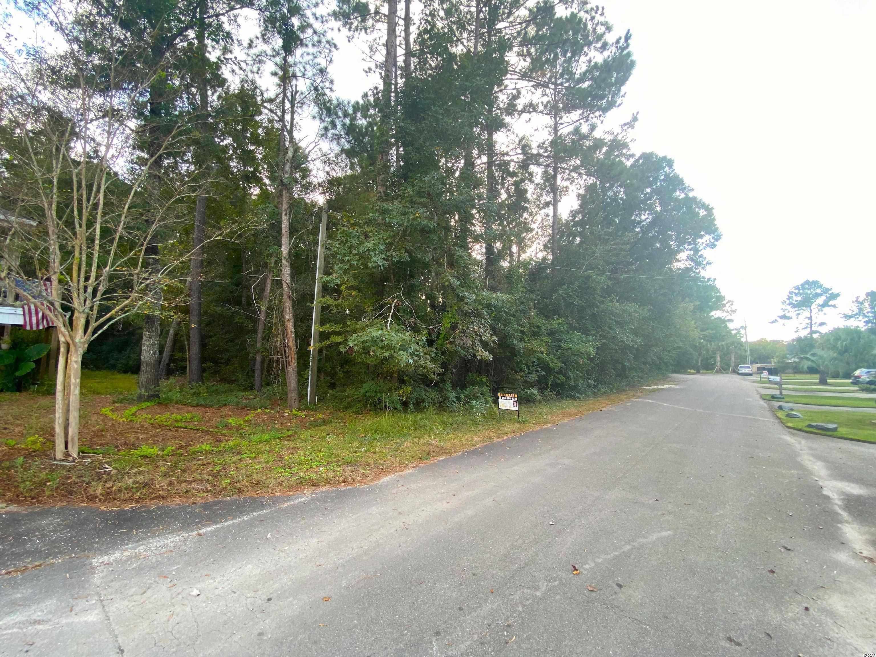 Folly Road Myrtle Beach, SC 29588 - Photo 3 of 11 Gallery Image 3