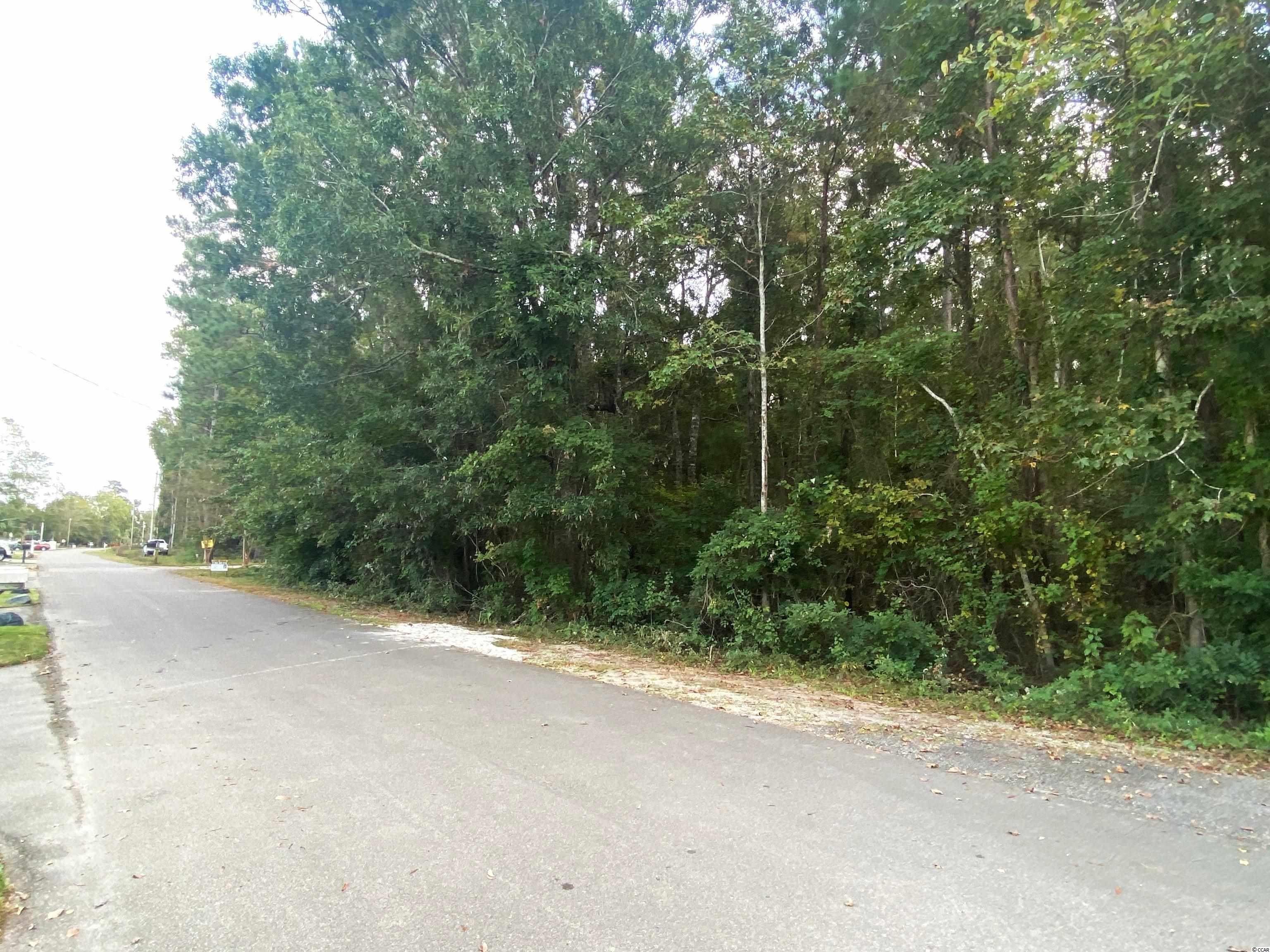 Folly Road Myrtle Beach, SC 29588 - Photo 7 of 11 Gallery Image 7