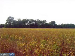 0 Locust Point Road Elkton, MD 21921 - Photo 1 of 2 Gallery Image 1