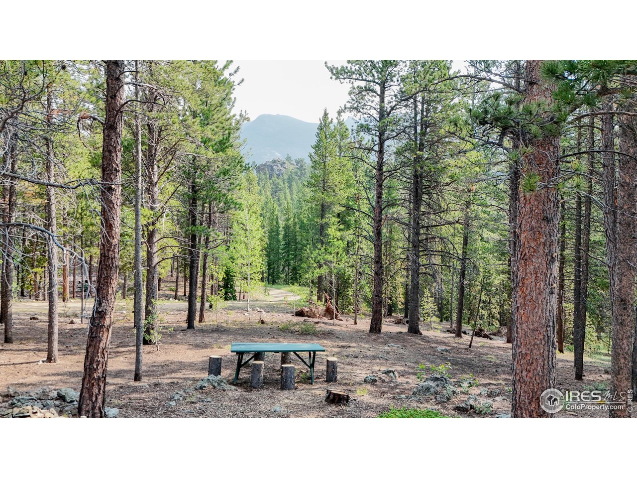 2420 Big Owl Road Allenspark, CO 80510 - Photo 23 of 26 1 Acre Rocky Mountains Forest - walk this path towards stream on property