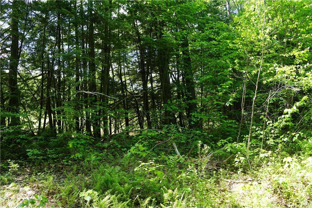 3-29 Blueberry Road Waterboro, ME 04087 - Photo 7 of 19 Photo