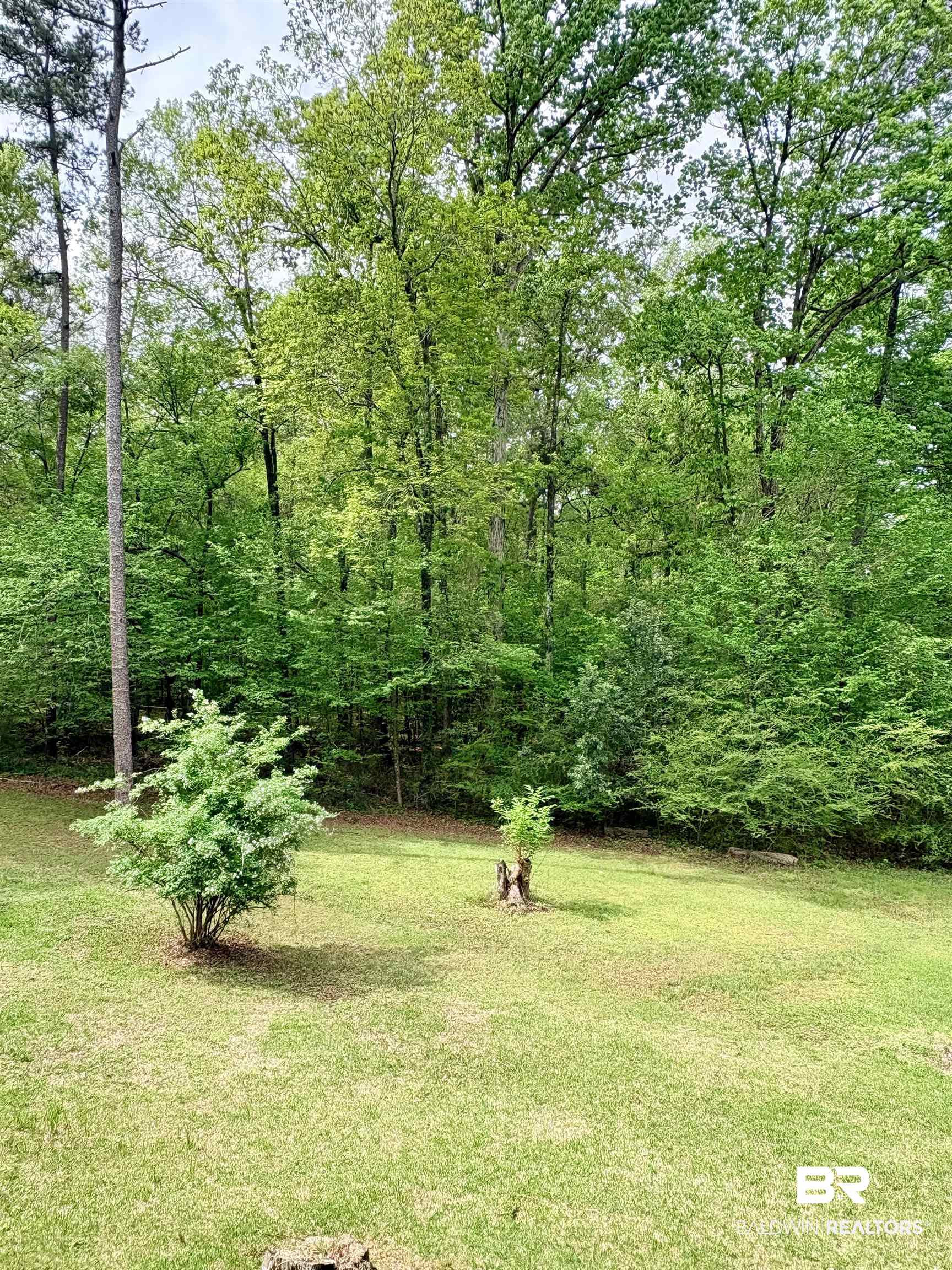 1018 Bates Road Evergreen, AL 36401 - Photo 21 of 21 View of green lawn