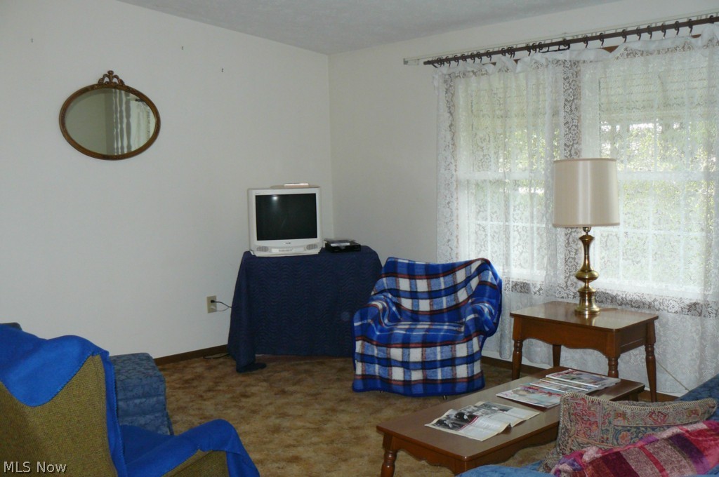 4439 Center Road Conneaut, OH 44030 - Photo 4 of 17 Gallery Image 4