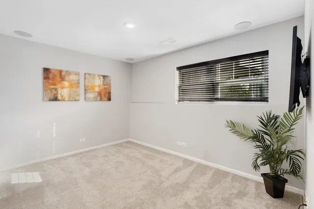 a potted plant sitting in front of a room