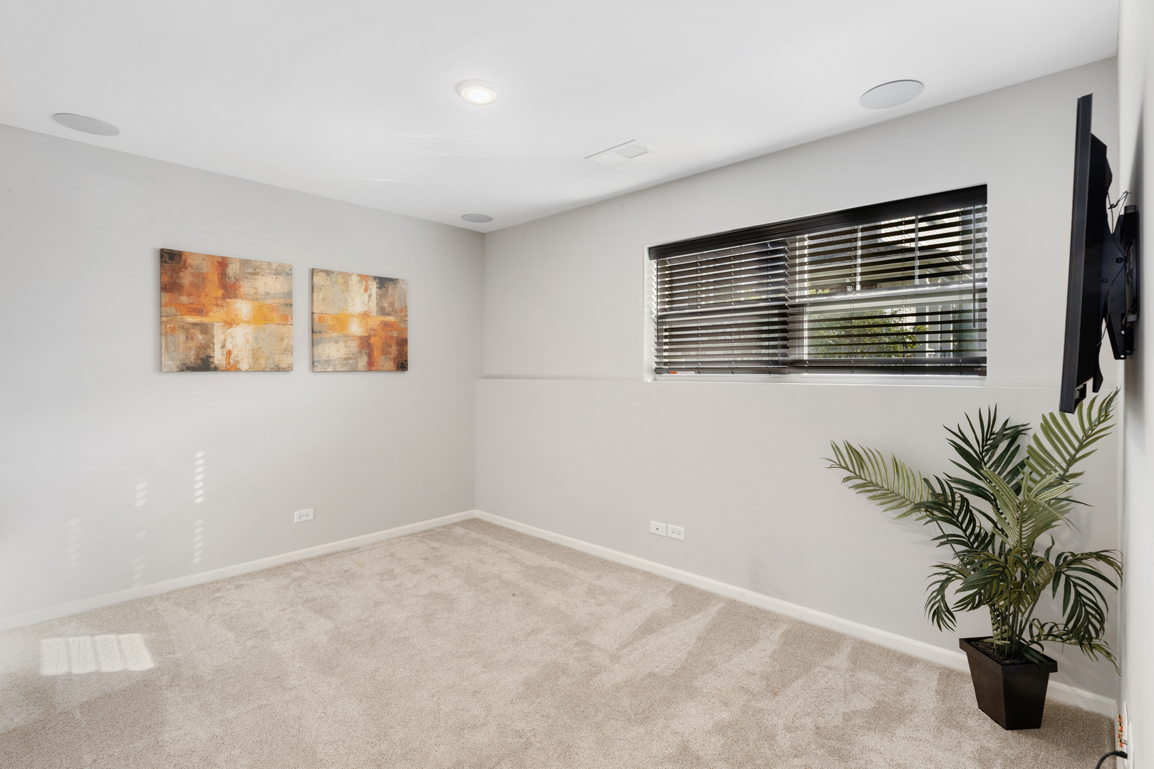 1108 Evergreen Avenue Des Plaines, IL 60016 - Photo 17 of 20 a potted plant sitting in front of a room