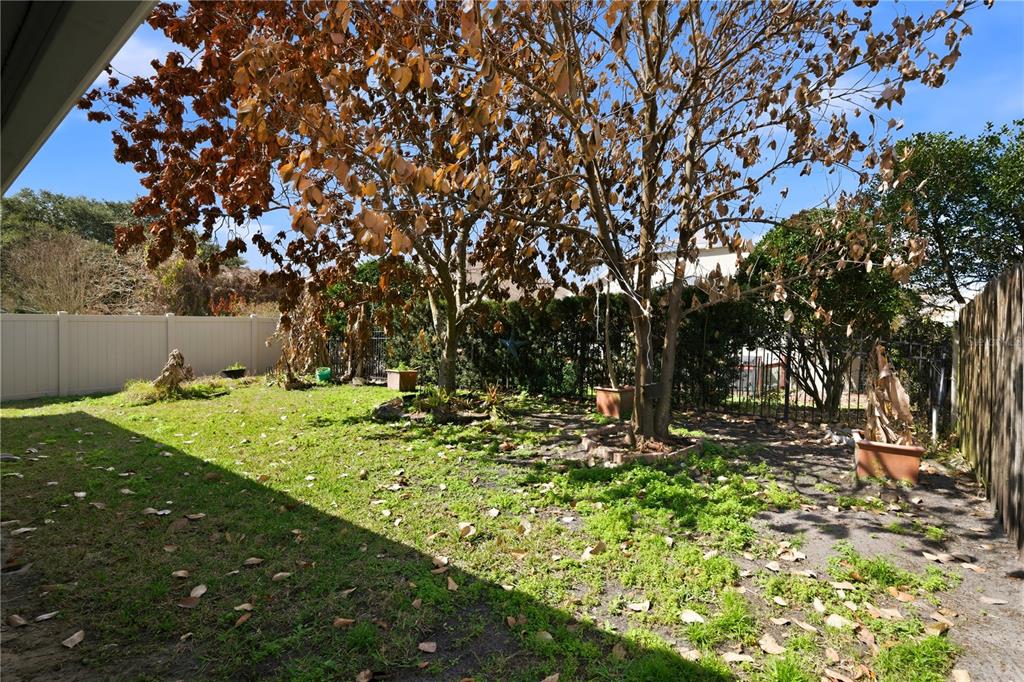 632 Blenheim Loop Winter Springs, FL 32708 - Photo 49 of 55 a view of a backyard