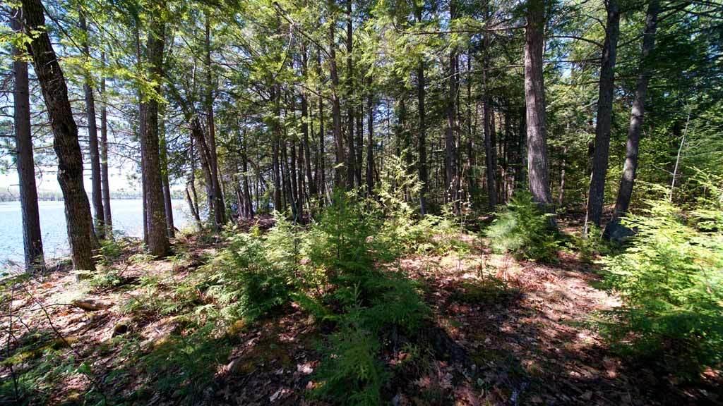 158 Thoroughfare Road Island Falls, ME 04747 - Photo 33 of 64 mattawamkeag-lake-158-30