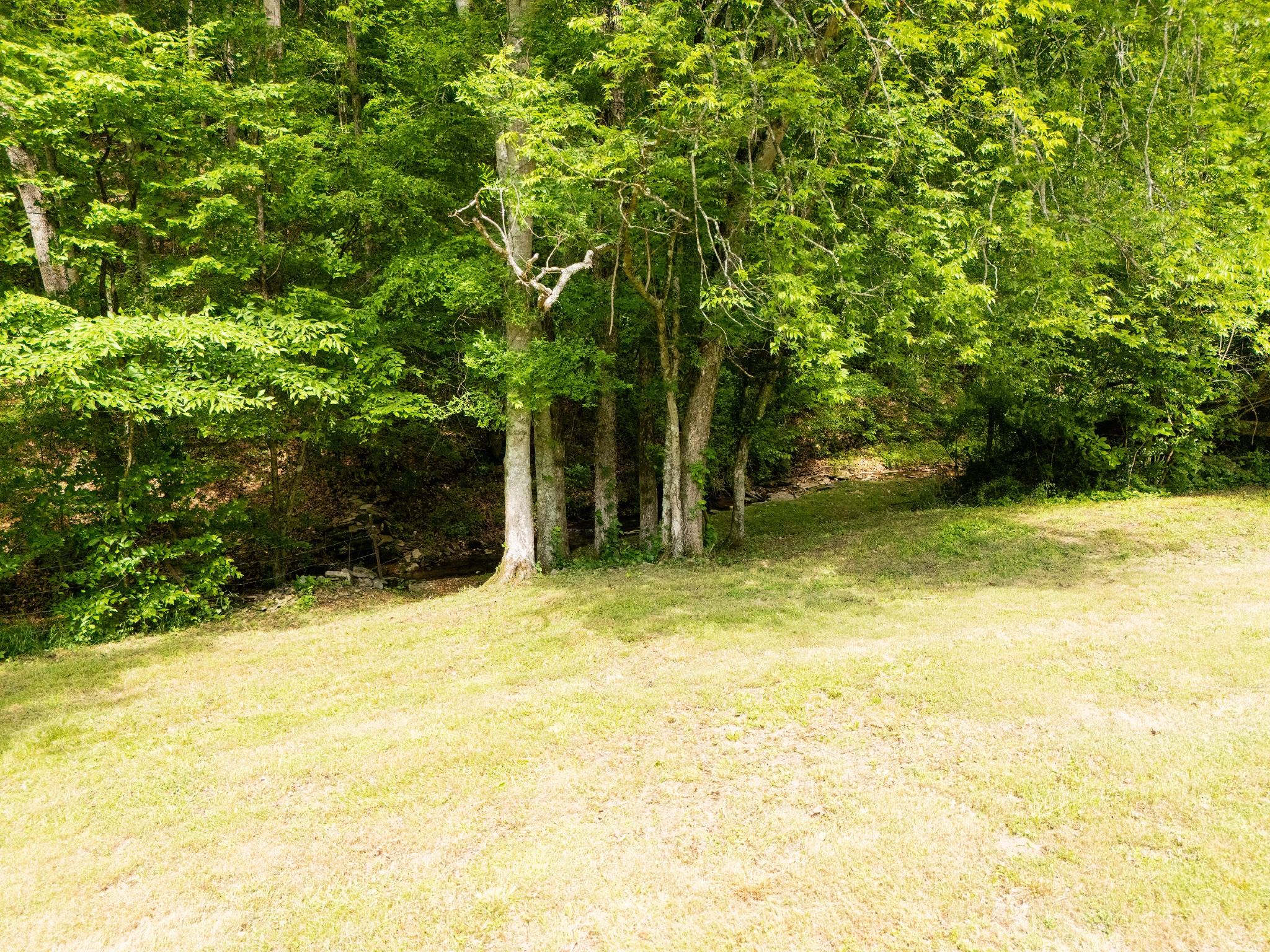 0 Taylors Store Road Hampshire, TN 38461 - Photo 18 of 44 Gallery Image 18