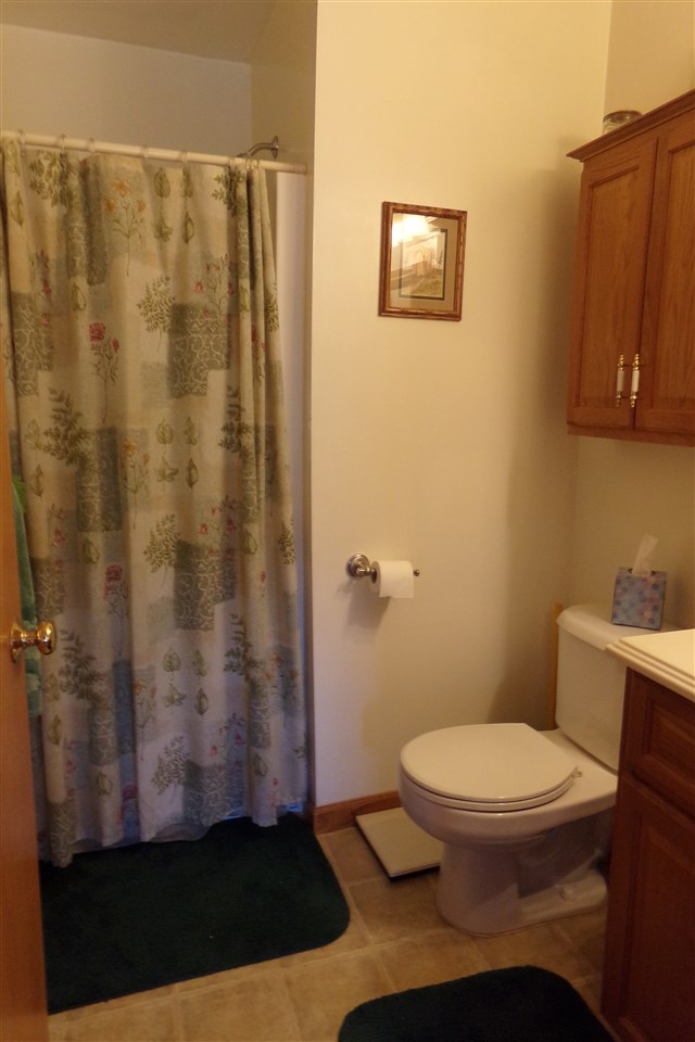 11211 East Millbrook Road Shepherd, MI 48883 - Photo 13 of 20 1843278-12.JPG