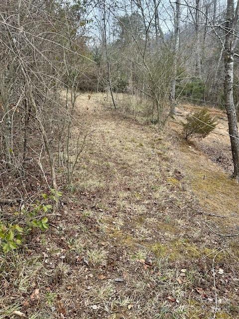 1575 Zacks Fork Road Lenoir, NC 28645 - Photo 7 of 46 Gallery Image 7