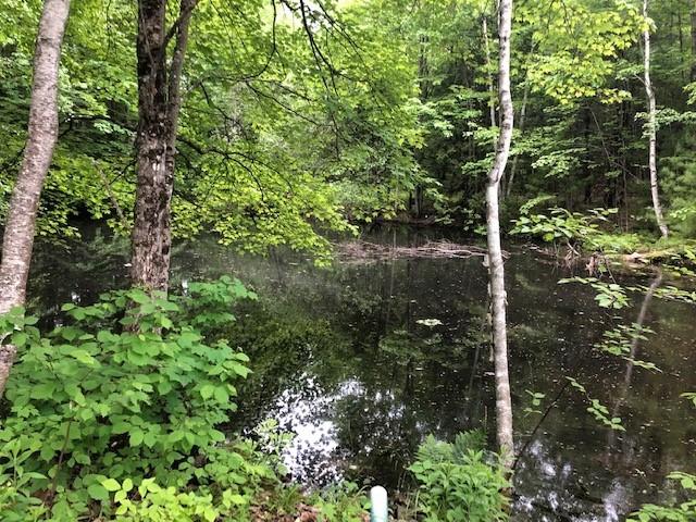 84 Mountain View Road Casco, ME 04015 - Photo 2 of 39 84 Mountain View Rd private pond