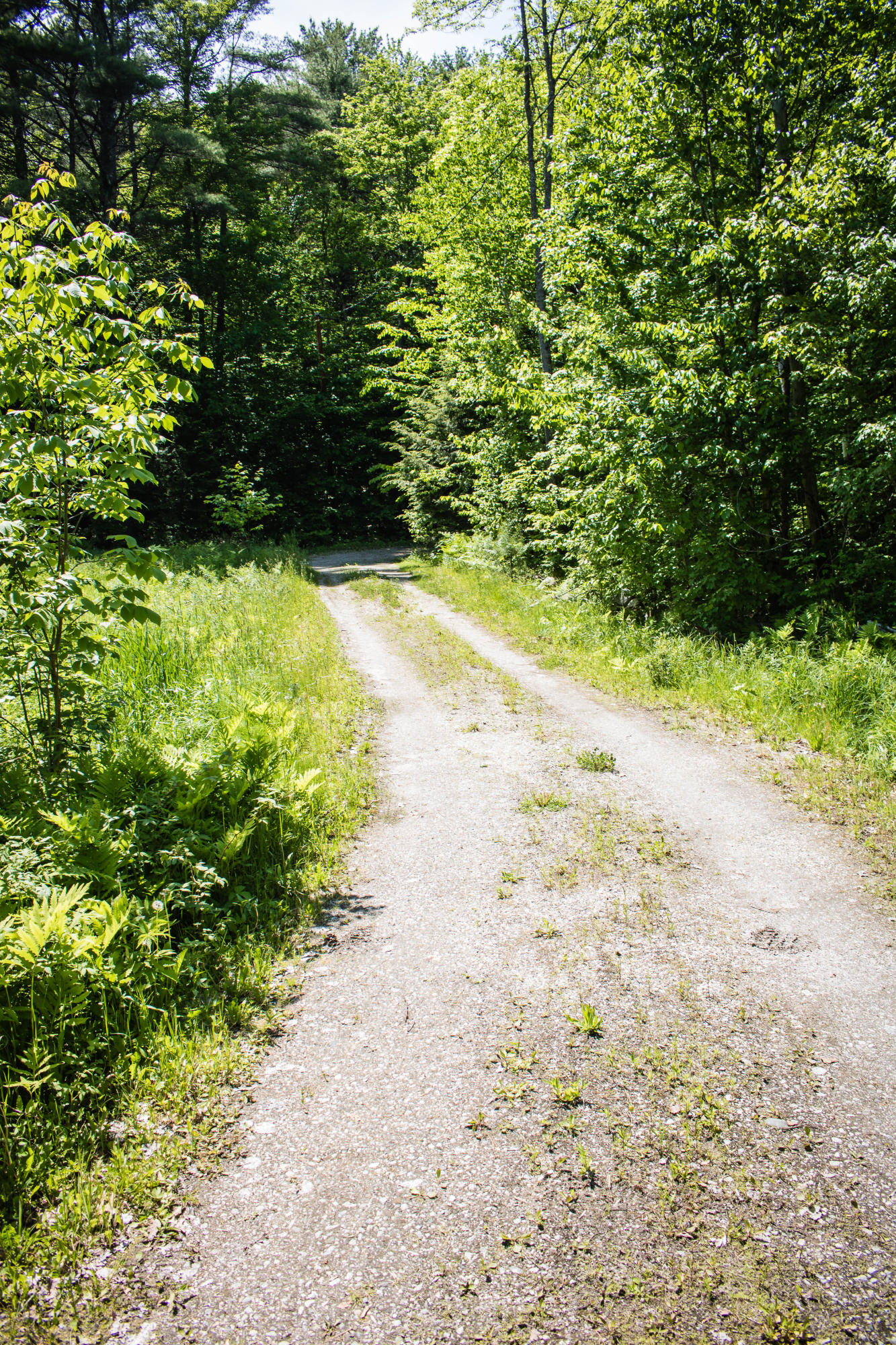 84 Mountain View Road Casco, ME 04015 - Photo 39 of 39 IMG_5907