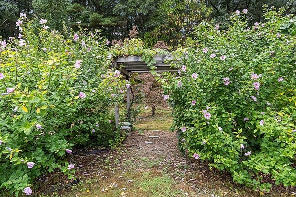 10 Babicz Road Tewksbury, MA 01876 - Photo 41 of 42