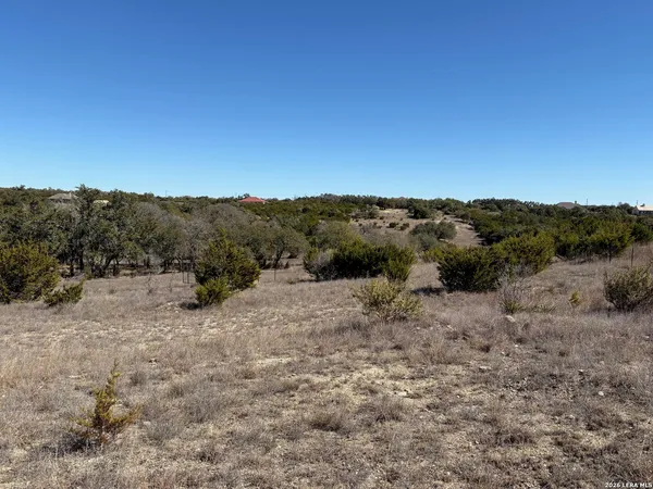 a view of a covered with trees in the background