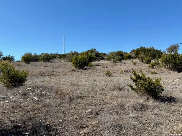 a view of a dry field with trees in the background