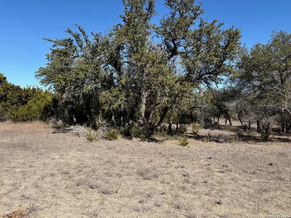 a view of a yard covered in snow