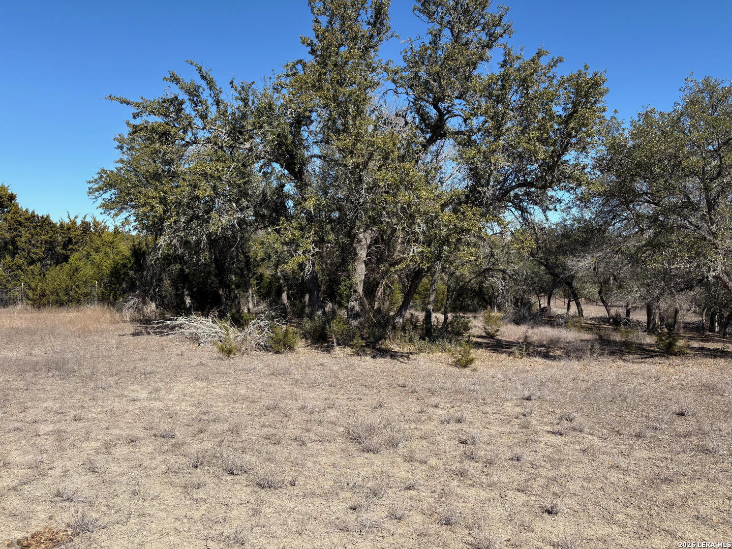552-lot 2002) Rock Trail Spring Branch, TX 78070 - Photo 16 of 39 a view of a yard covered in snow