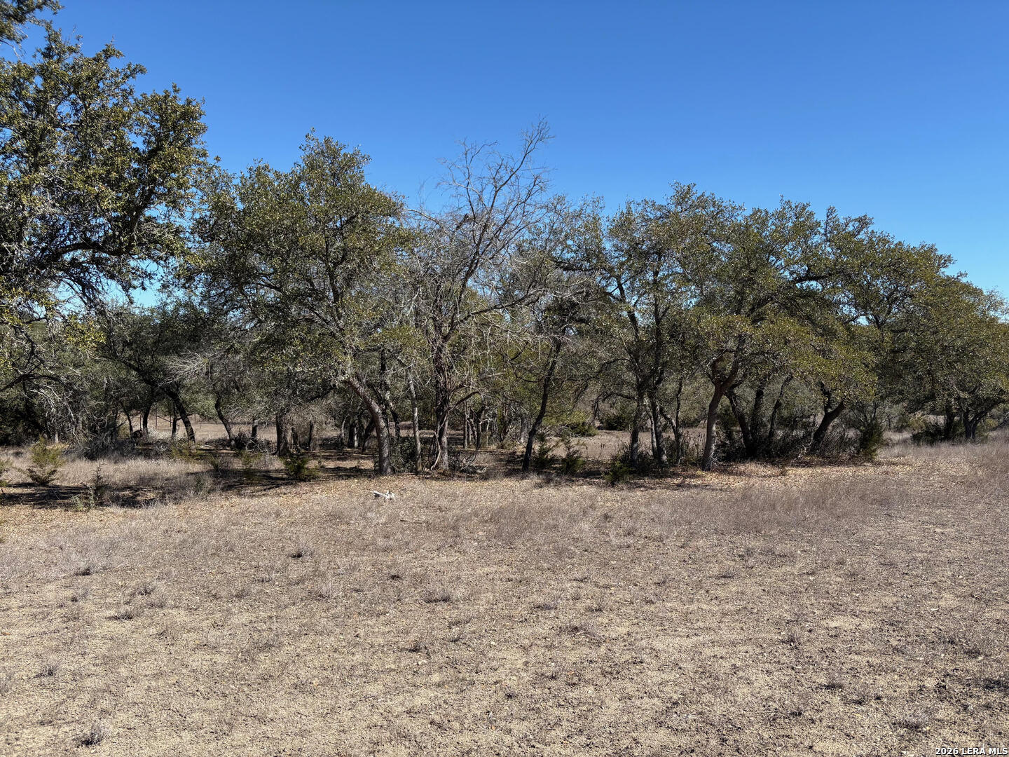 552-lot 2002) Rock Trail Spring Branch, TX 78070 - Photo 17 of 39 a view of a yard