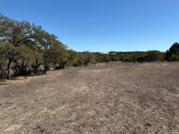 a view of a field with trees in background