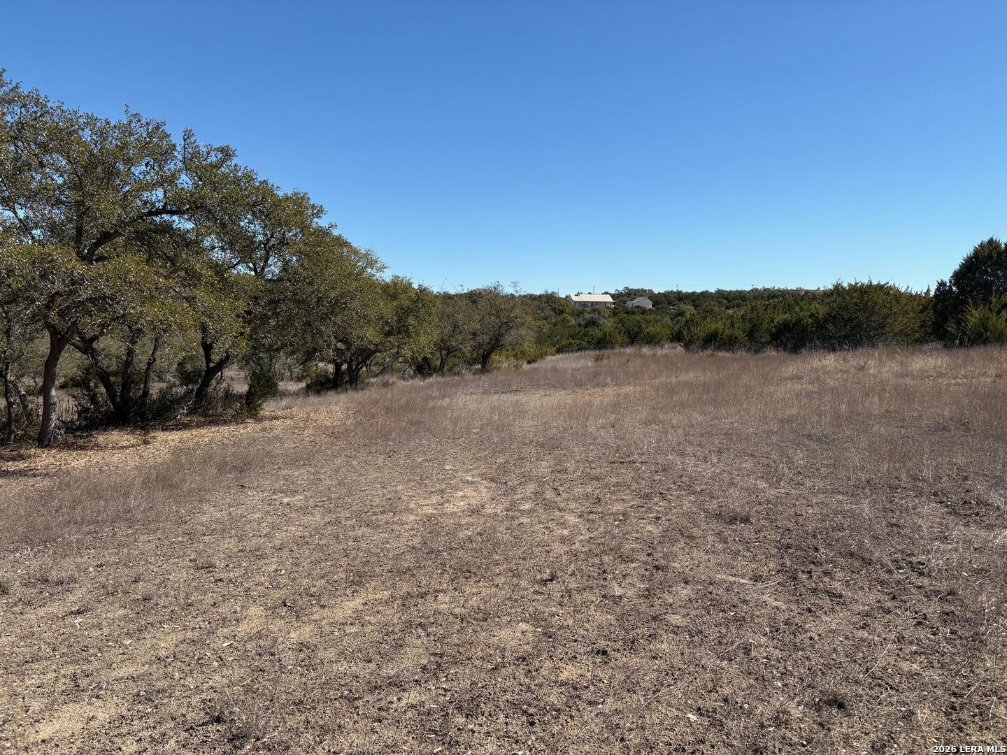 552-lot 2002) Rock Trail Spring Branch, TX 78070 - Photo 18 of 39 a view of a field with trees in background