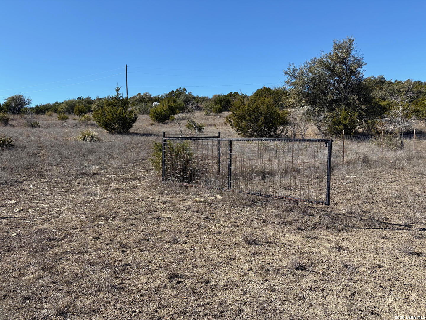 552-lot 2002) Rock Trail Spring Branch, TX 78070 - Photo 19 of 39 a view of a yard with a tree