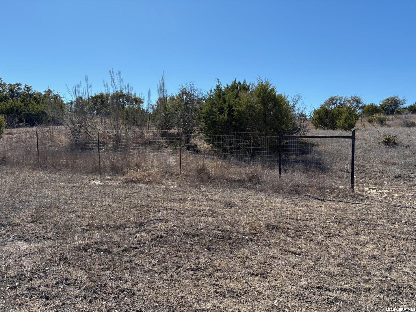 552-lot 2002) Rock Trail Spring Branch, TX 78070 - Photo 20 of 39 a view of a yard with a tree
