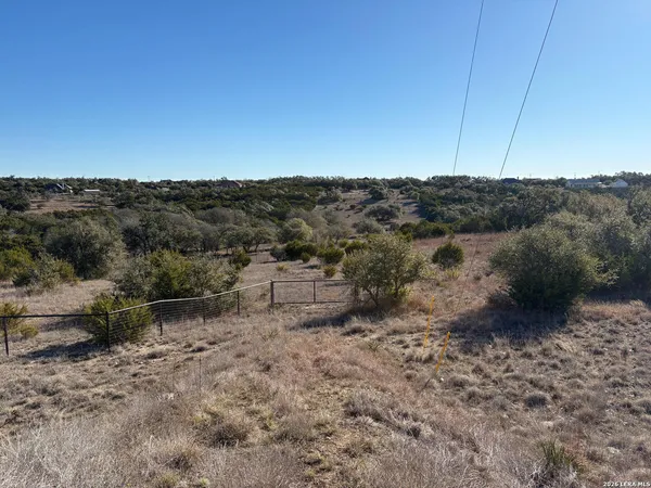 a view of a dry yard with trees