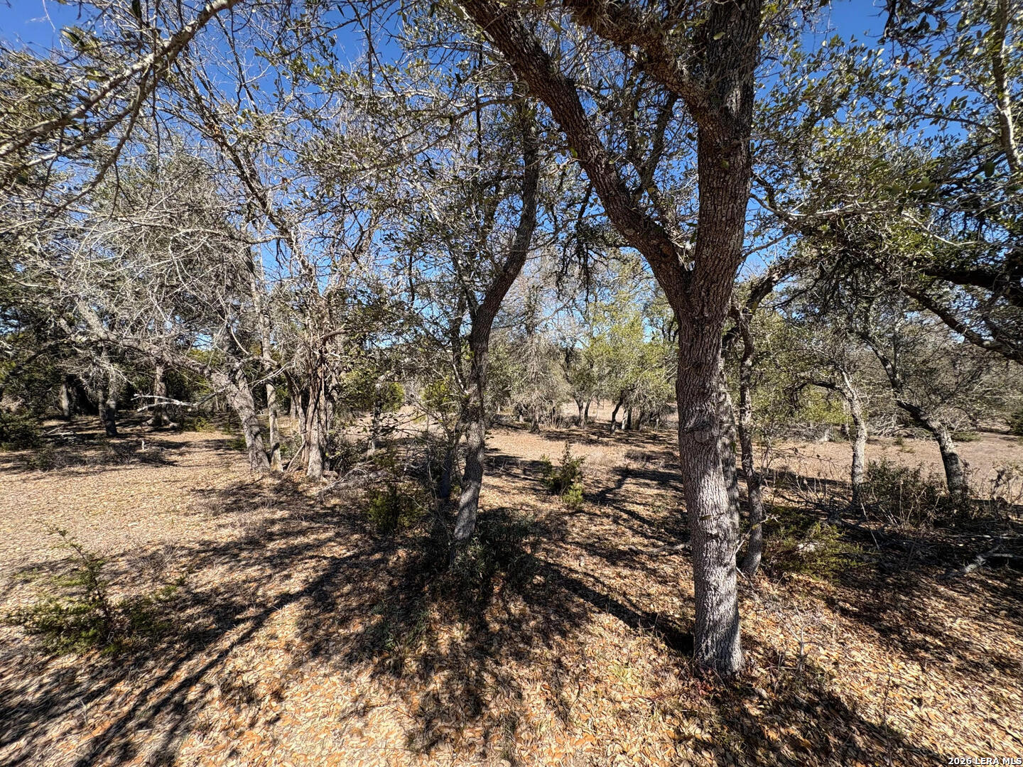 552-lot 2002) Rock Trail Spring Branch, TX 78070 - Photo 21 of 39 a view of a yard with trees