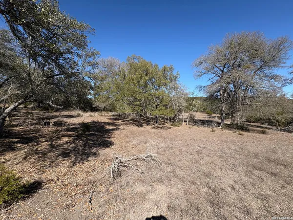 a view of a dry yard with trees