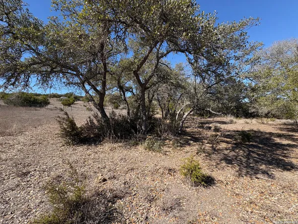 a view of a yard covered with snow in the background