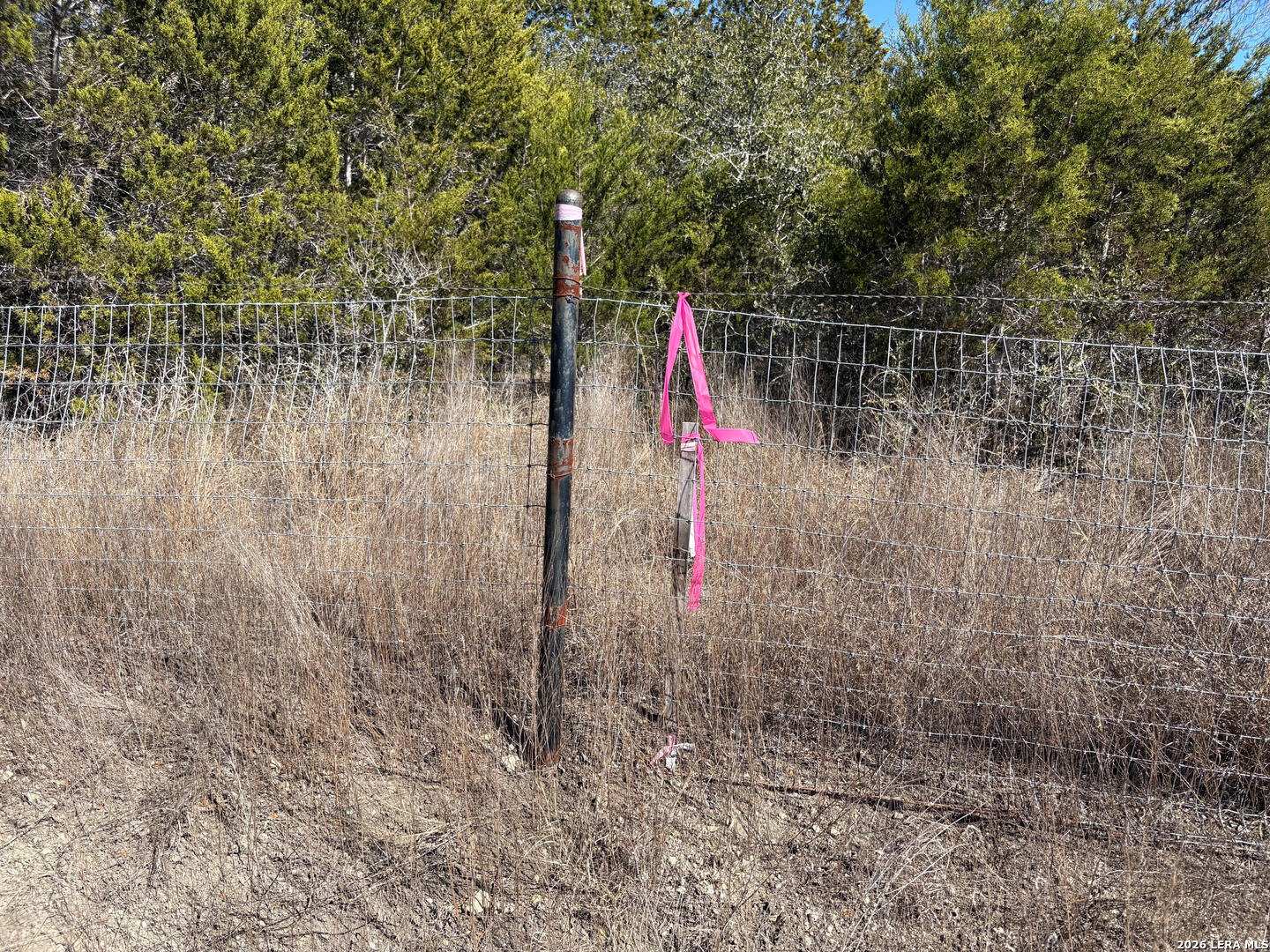 552-lot 2002) Rock Trail Spring Branch, TX 78070 - Photo 26 of 39 a view of yard with tall trees