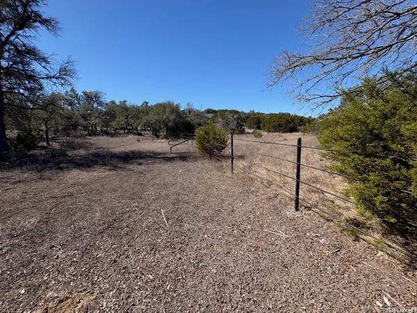 a view of a dry yard with trees