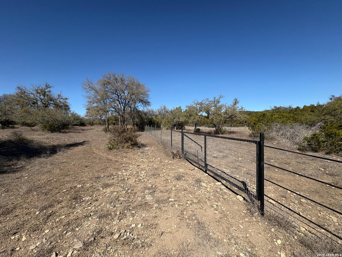 552-lot 2002) Rock Trail Spring Branch, TX 78070 - Photo 30 of 39 a view of a yard with a tree