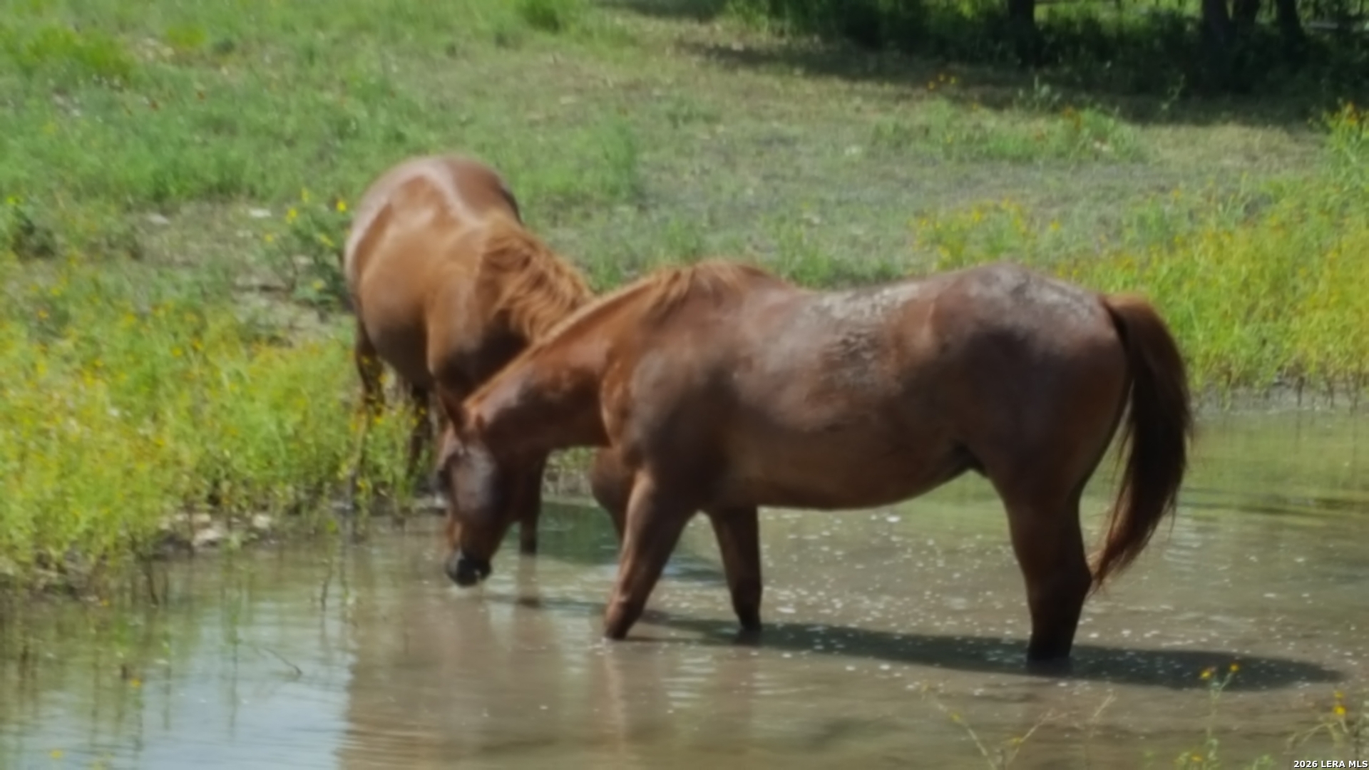 552-lot 2002) Rock Trail Spring Branch, TX 78070 - Photo 3 of 39 a view of a yard