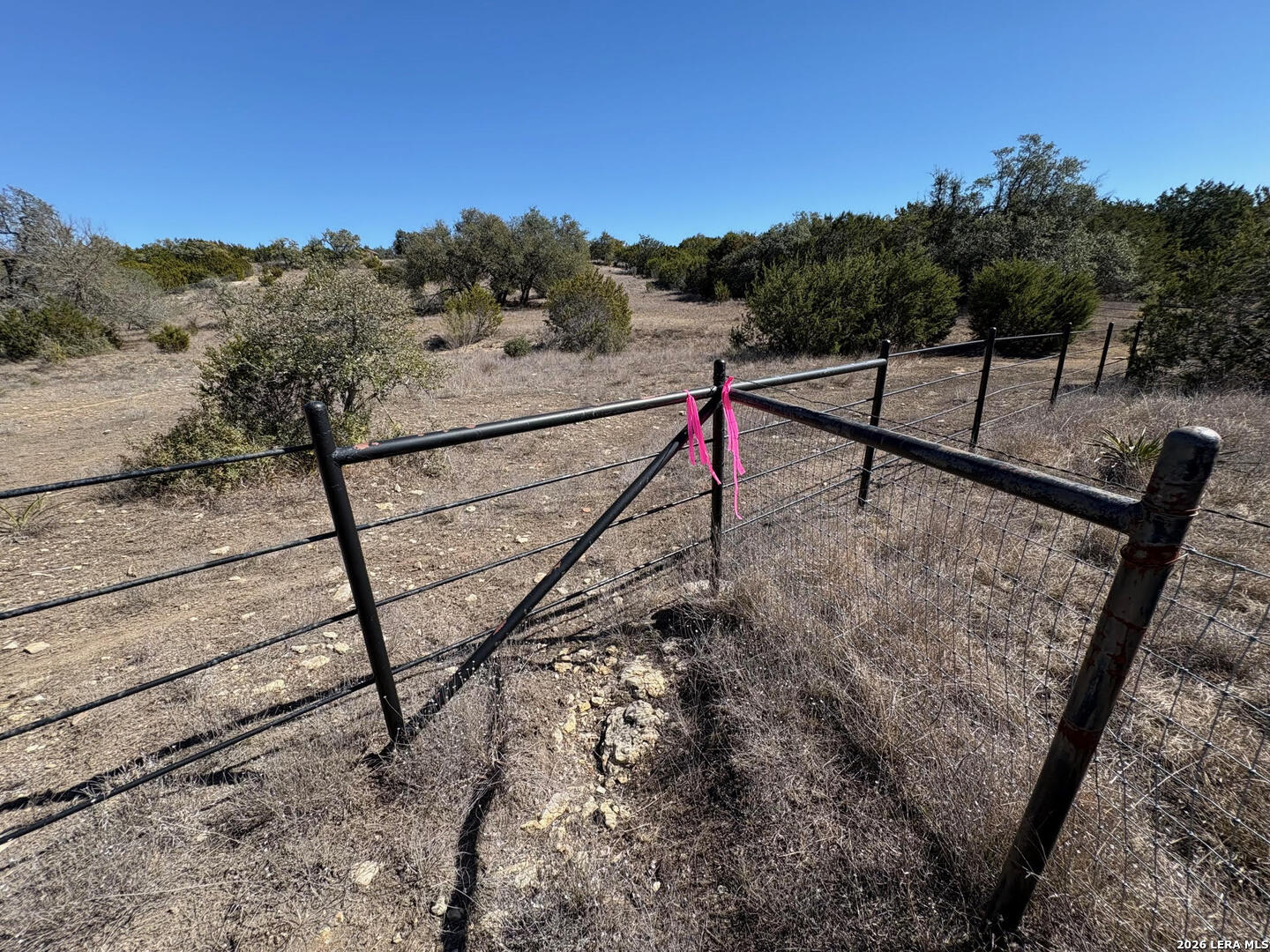 552-lot 2002) Rock Trail Spring Branch, TX 78070 - Photo 31 of 39 a view of a forest