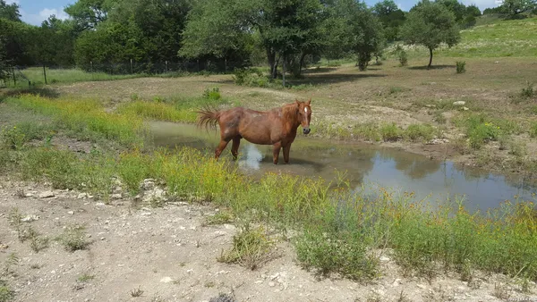 an aerial view of residential houses with city view