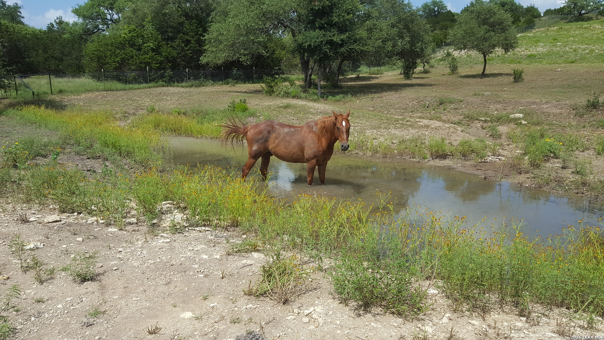 552-lot 2002) Rock Trail Spring Branch, TX 78070 - Photo 38 of 39 a view of a lake with a yard