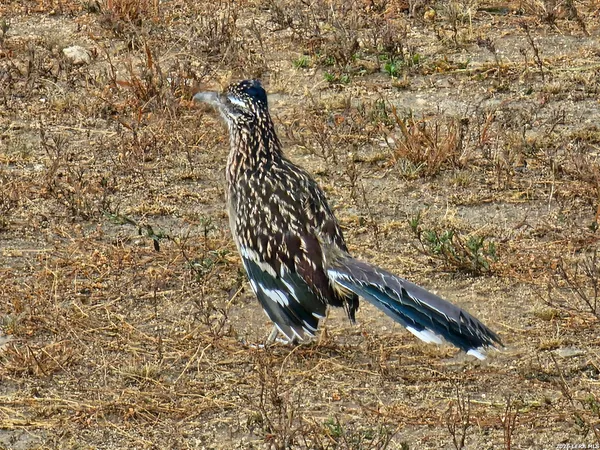 a view of wooden floor in a bathroom