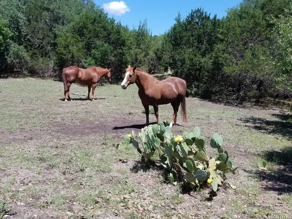 a view of yard with a table and chairs