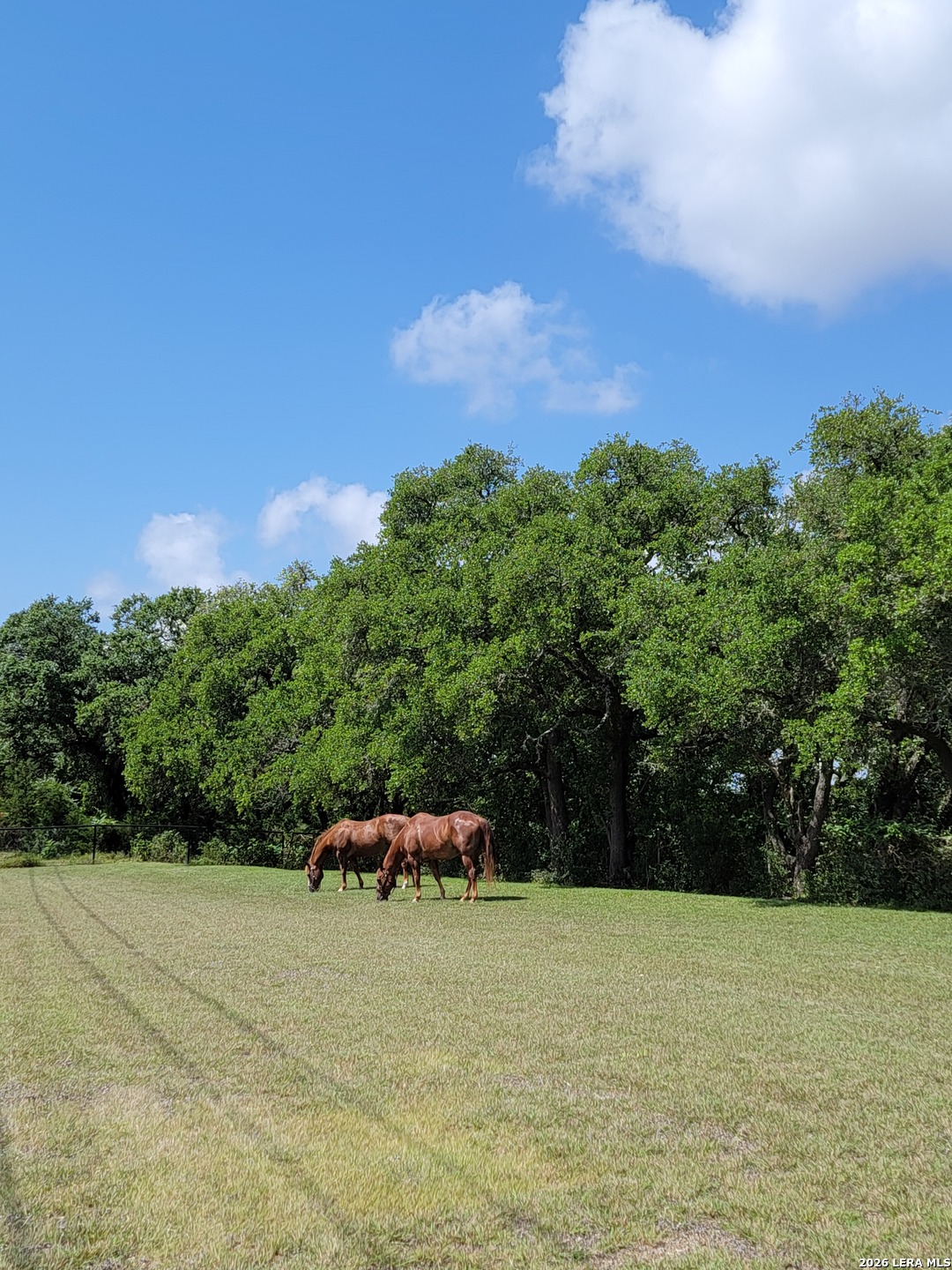 552-lot 2002) Rock Trail Spring Branch, TX 78070 - Photo 6 of 39 a backyard of a house with lots of green space