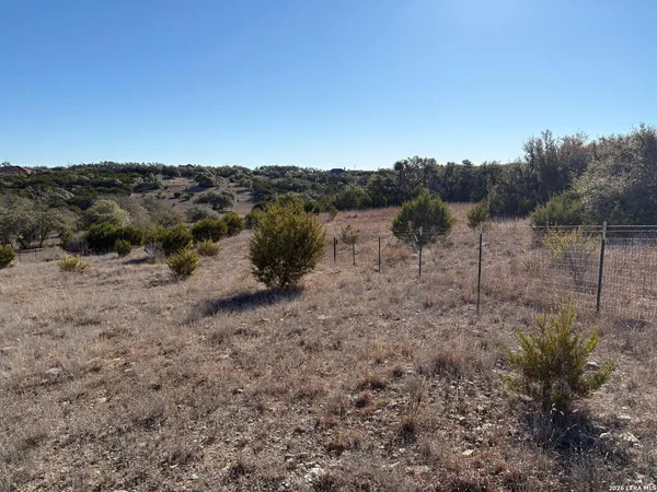 a view of a forest with trees in the background