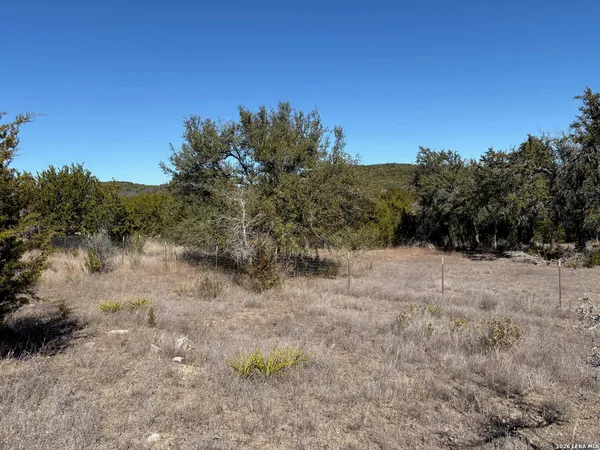 a view of a dry yard with trees