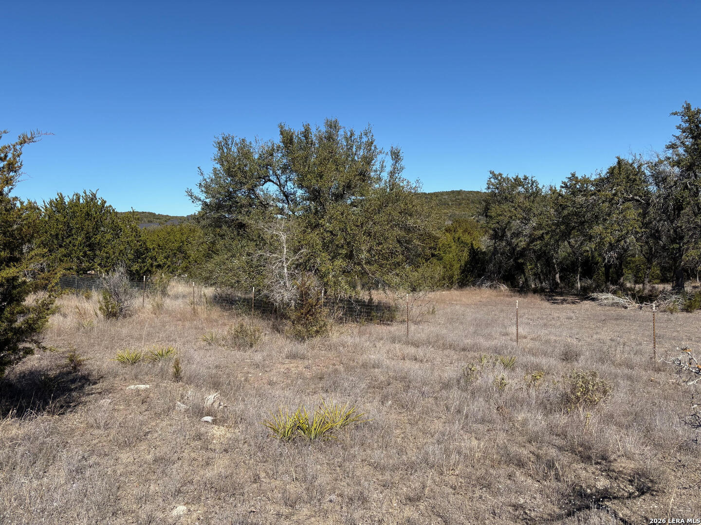 552-lot 2002) Rock Trail Spring Branch, TX 78070 - Photo 9 of 39 a view of a dry yard with trees