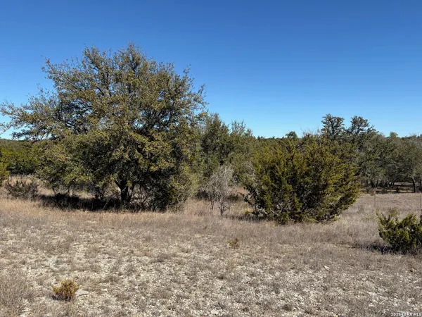 a view of outdoor space and tree