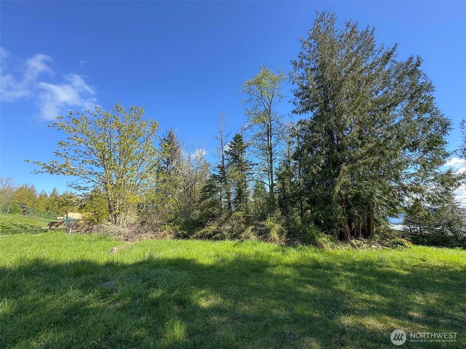 9999 Elk Pass Road Sequim, WA 98382 - Photo 32 of 40
