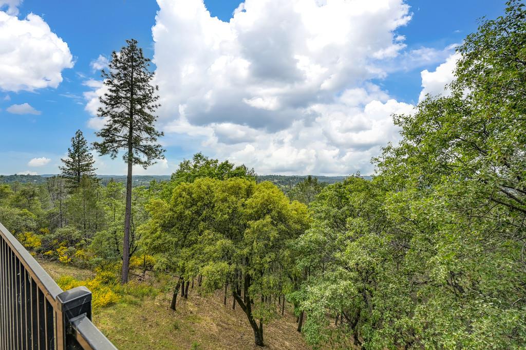 2358 Deer Ravine Court Cool, CA 95614 - Photo 51 of 63 view of woods