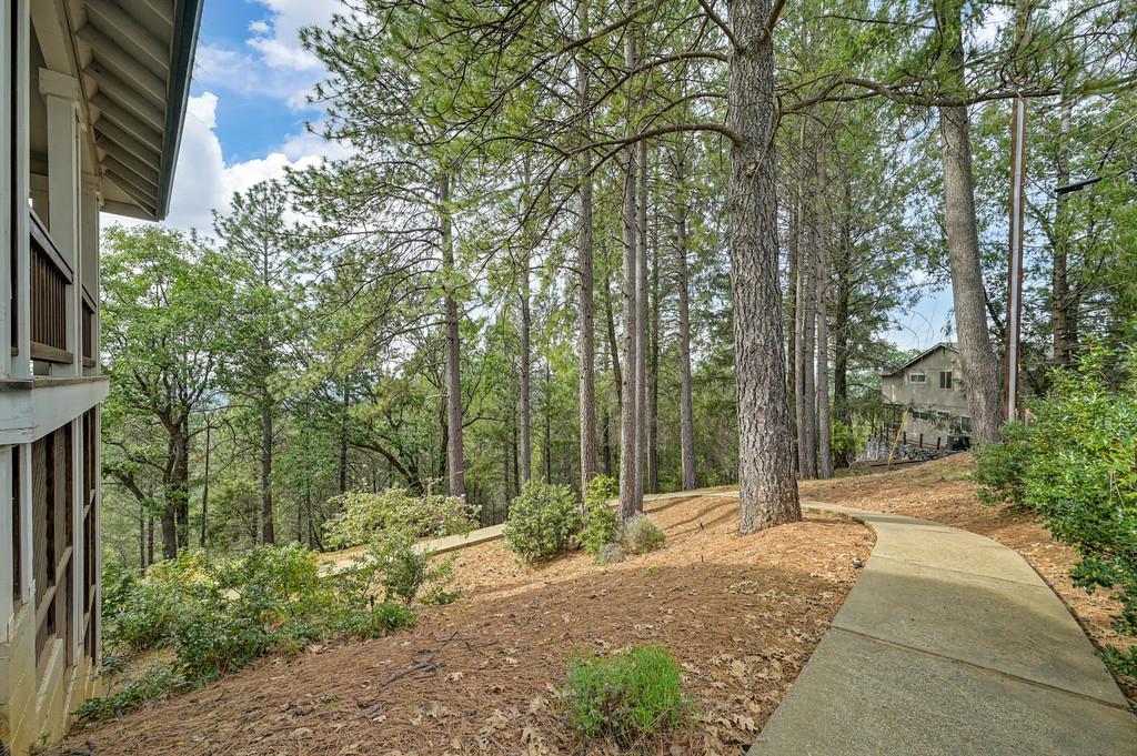 2358 Deer Ravine Court Cool, CA 95614 - Photo 54 of 63 view of yard